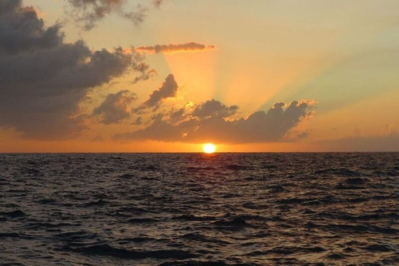 From Montego Bay: Negril Beach and Rick's Café Day Trip - Who This Tour Is Best For