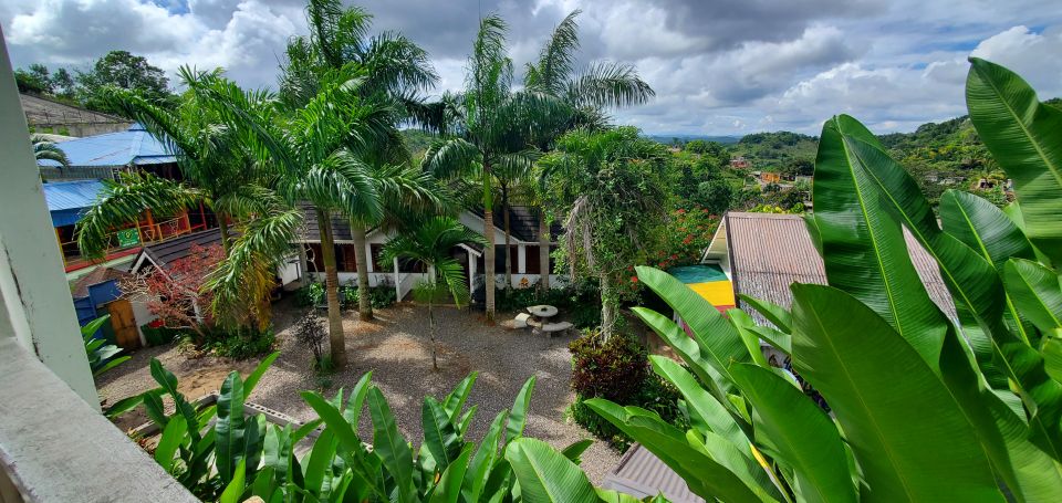 From Montego Bay: The Bob Marley Guided Tour of Nine Mile - Key Points