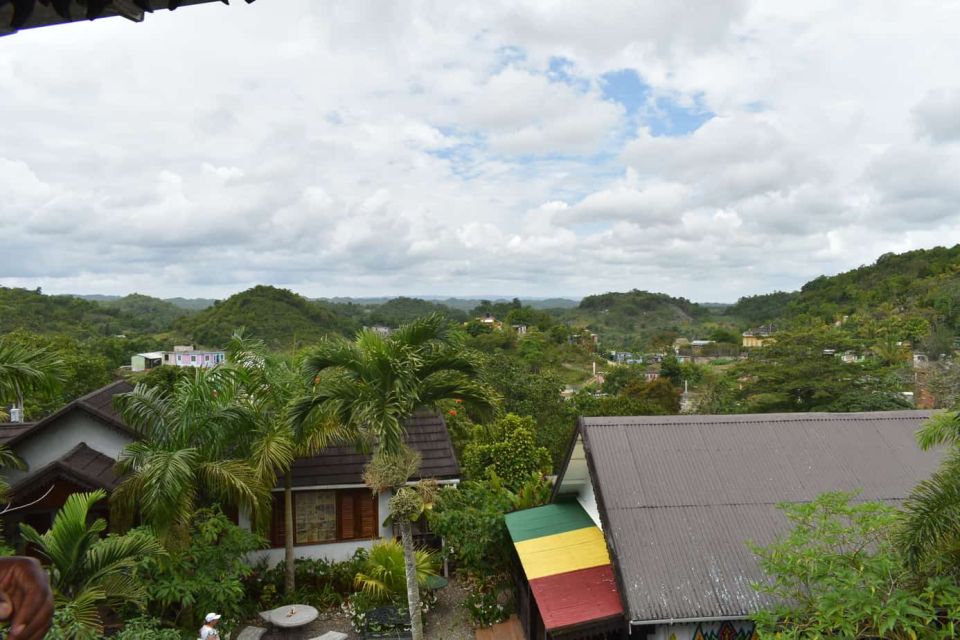 From Montego Bay: The Bob Marley Guided Tour of Nine Mile - Bob Marley Museum Entry Fee