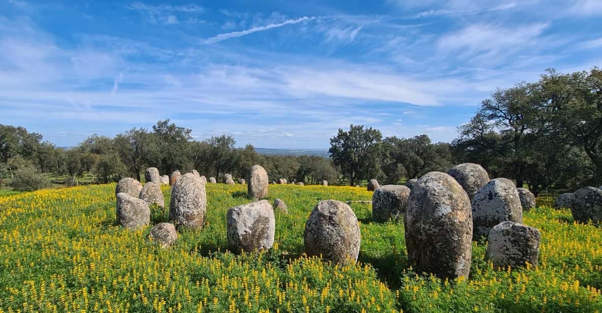 From Montemor or Évora: Guided Hike to Almendres Megalithic - What the Reviews Say