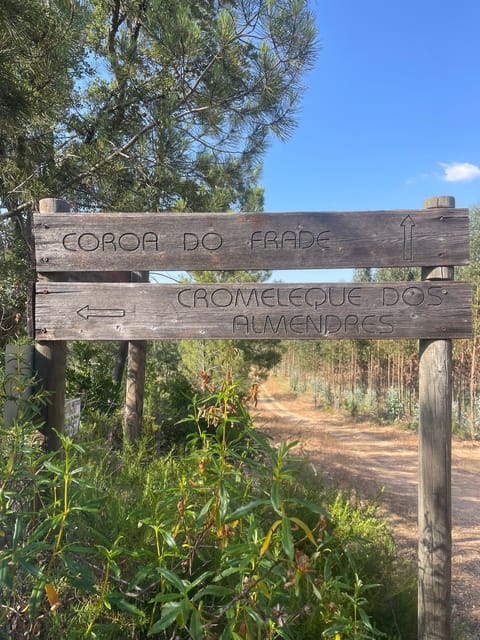 From Montemor or Évora: Guided Hike to Almendres Megalithic - Final Words