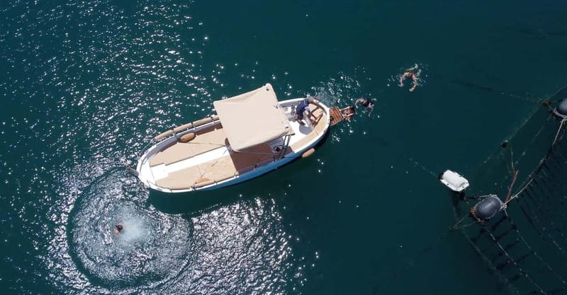 From Monterosso:3 Hour One-Way Sunset Boat Tour to La Spezia - An In-Depth Look at the Sunset Boat Tour  