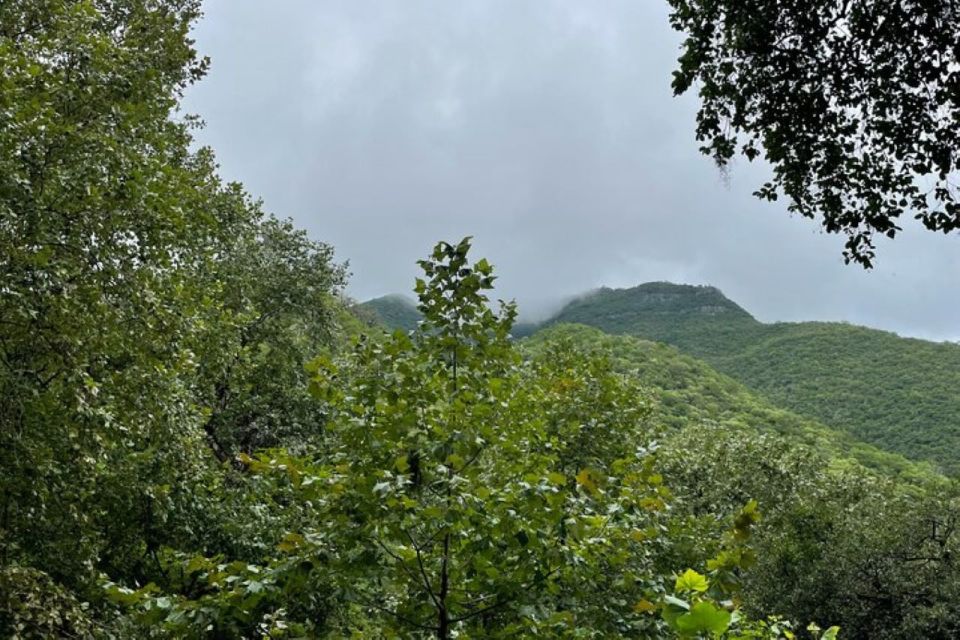 From Monterrey: Santiago Guided Half-Day Experience - Key Points