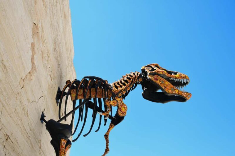 From Monterrey: Tour a Cuatro Ciénegas one day tour - Frequently Asked Questions