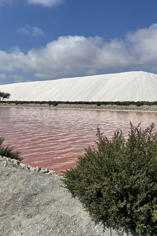 From Montpellier: Camargue and Salt Marshes Guided Tour - Exploring Aigues Mortes