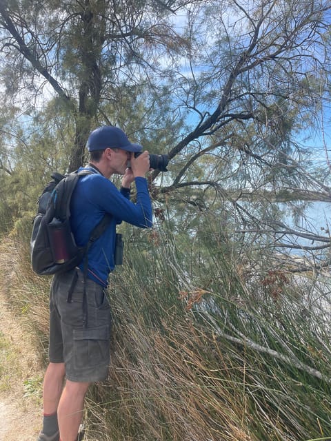 From Montpellier: Camargue and Salt Marshes Guided Tour - Observing Camargue Wildlife