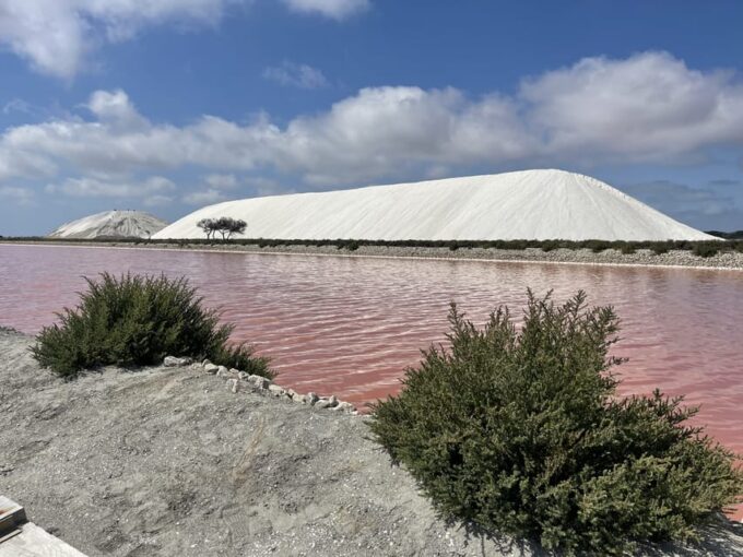 From Montpellier: Camargue and Salt Marshes Guided Tour - The Views From Tour Carbonnière