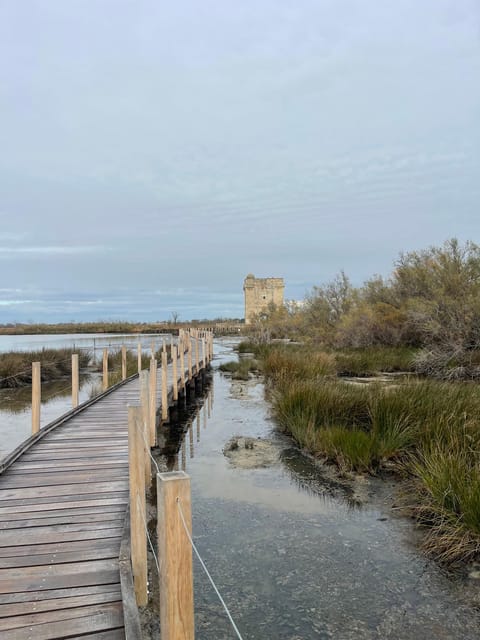 From Montpellier: Camargue and Salt Marshes Guided Tour - Whats Included in the Tour