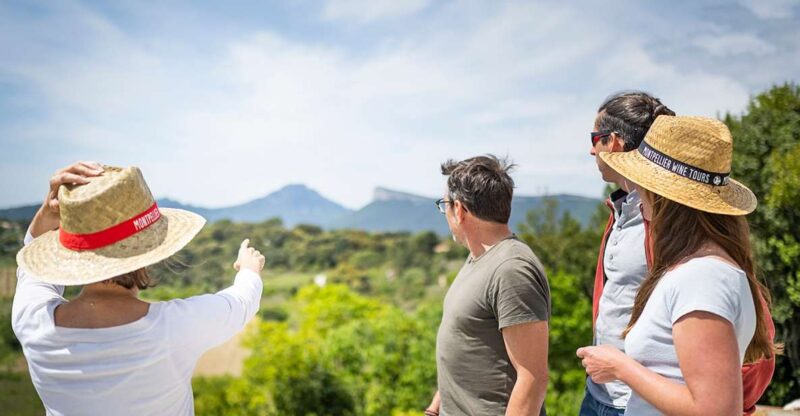 From Montpellier: Half-Day Vineyard & Pic Saint-Loup Tour - Customer Feedback