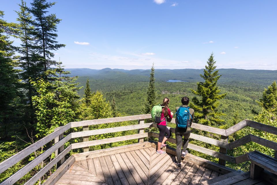 From Montreal: Mont-Tremblant National Park Hiking Day Trip - Key Points