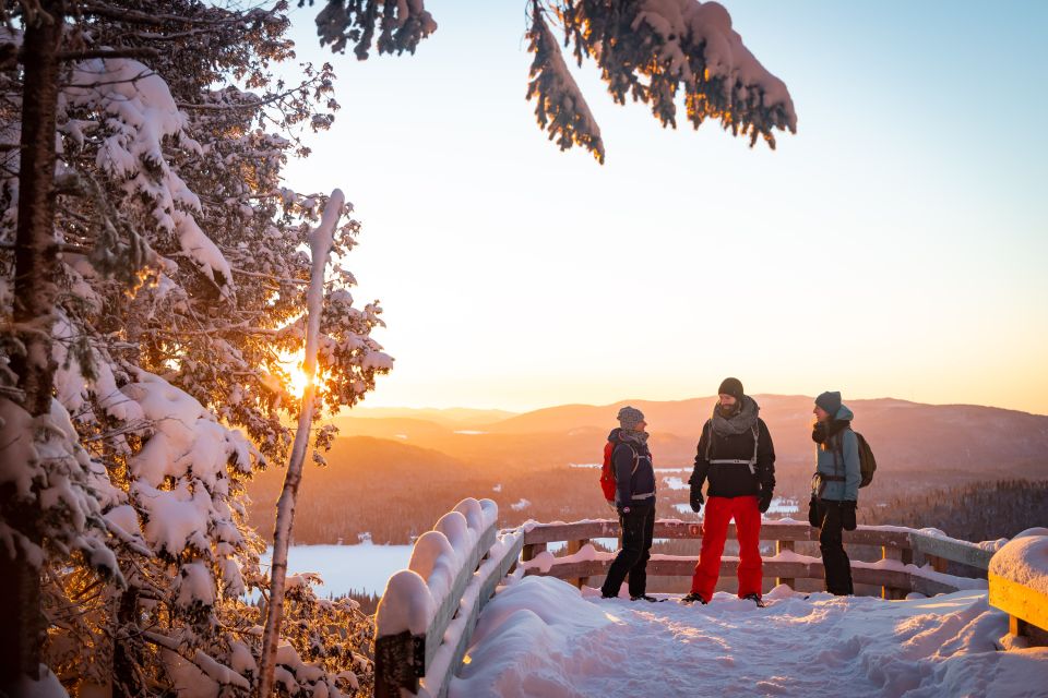 From Montreal: Mont-Tremblant National Park Hiking Day Trip - Hiking to Chute-aux-rats Viewpoint