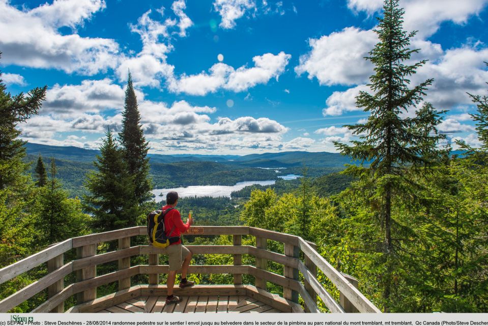 From Montreal: Mont-Tremblant National Park Hiking Day Trip - Experiencing the Picnic Lunch