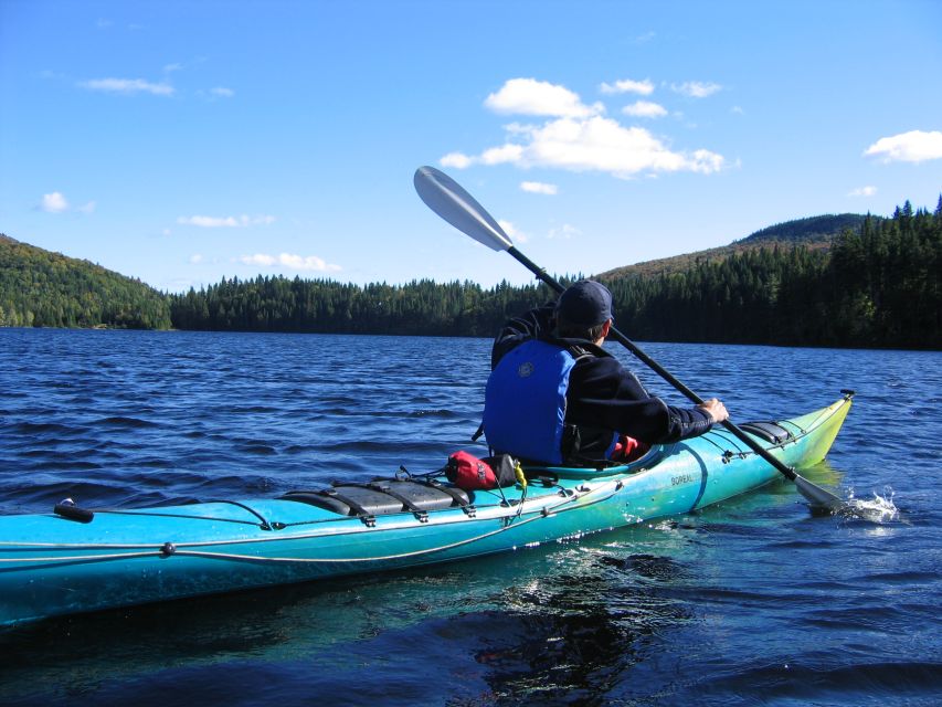 From Montreal: Mont-Tremblant National Park Hiking Day Trip - Observing Local Wildlife
