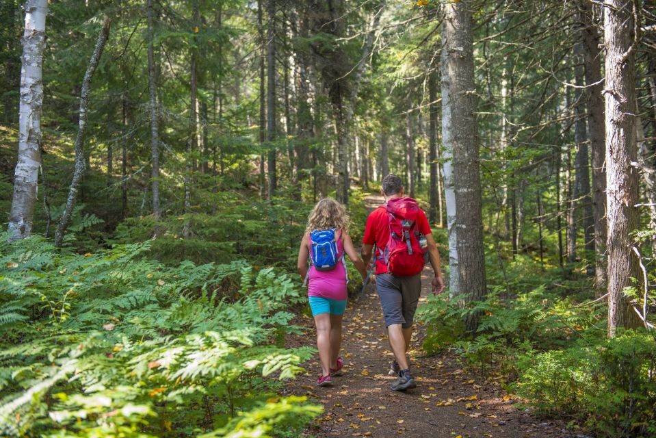 From Montreal: Mont-Tremblant National Park Hiking Day Trip - Preparing for the Hike