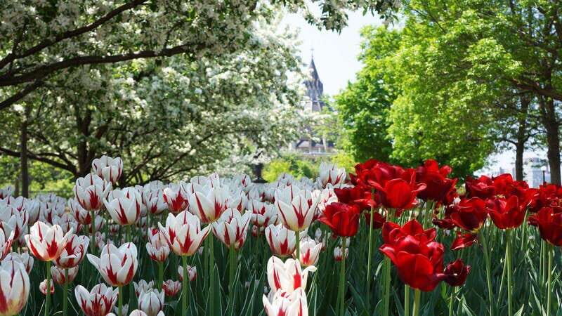 From Montreal: Private Ottawa Full Day Tour - A Comfortable Journey from Montreal to Ottawa