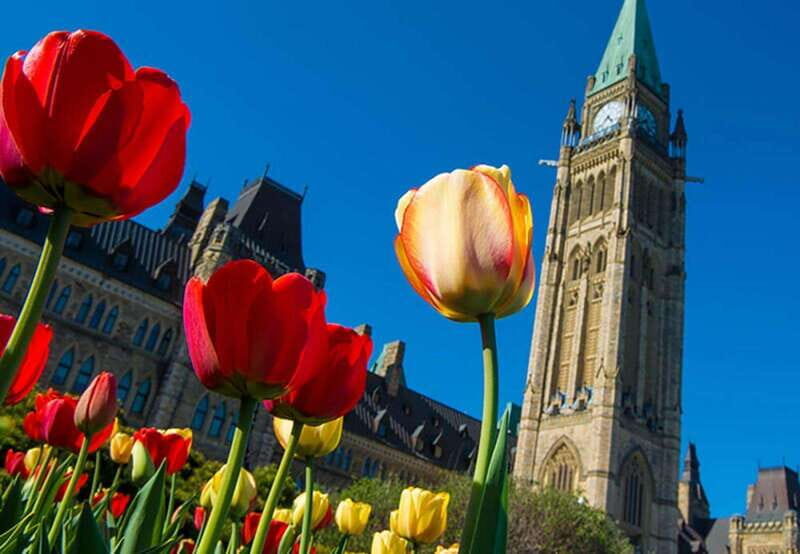 From Montreal: Private Ottawa Full Day Tour - Personalized Guide Experience and Flexibility