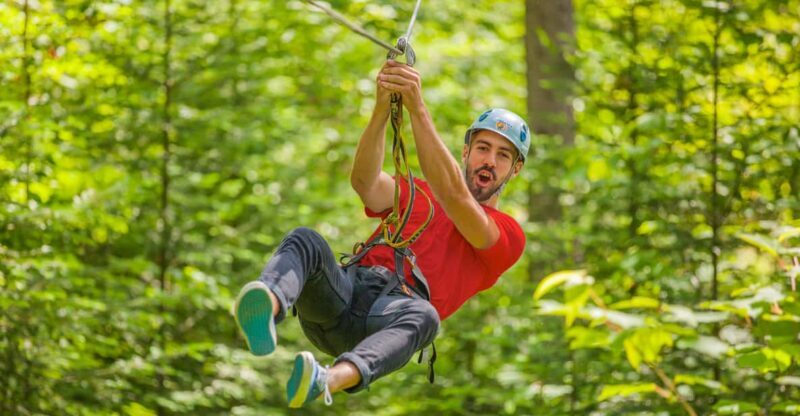 From Montreal: Treetop Trek, Ziplines + beach or waterfall. - An Adventure in the Trees and Beyond