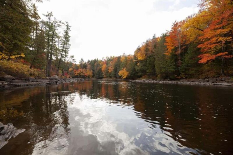 From Montreal: Treetop Trek, Ziplines + beach or waterfall. - The Sum Up