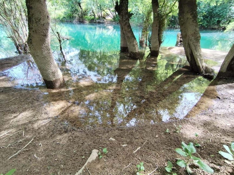 From Mostar: Half-Day Trip to the Kravica Waterfall - The Transport and Group Size