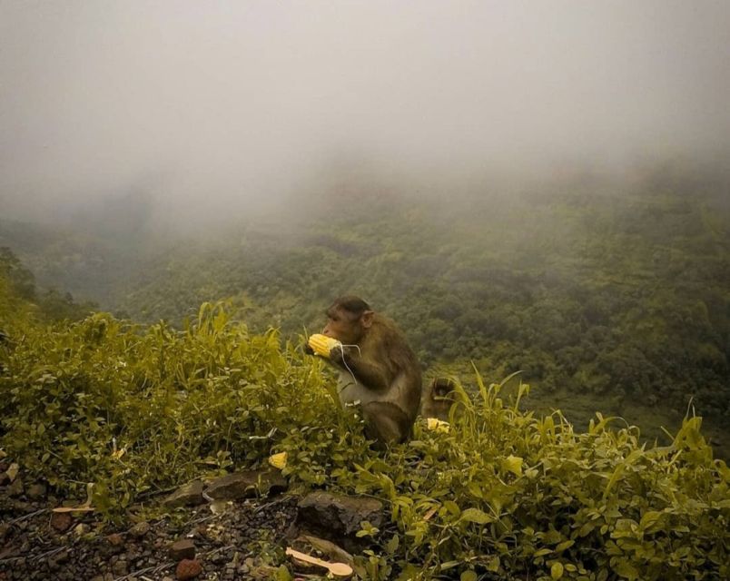From Mumbai: Lonvala Hill Station & Tiger Point Private Tour - Itinerary Highlights