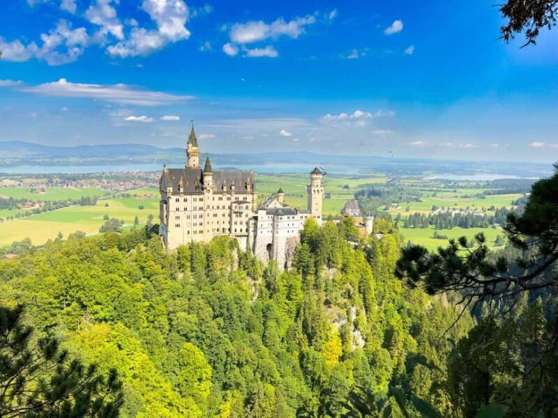 From Munich: Neuschwanstein & Linderhof Castle Day Tour Private 8 Pax - The Practical Side: What’s Included & What’s Not