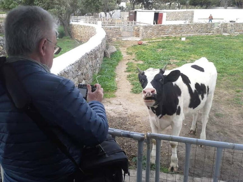 From Mykonos: Ano Mera Farm Tour - Who Should Consider This Tour?