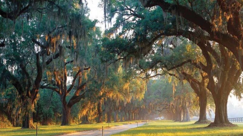 From Myrtle Beach: Charleston Day Trip, Boone Hall & Cruise - Exploring Charleston’s Market