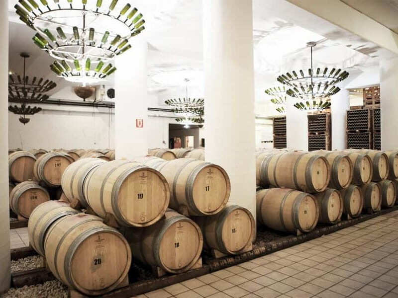From Nafplio: Nemea, Wine Tasting Tour with Local Flavours - The Practical Side: What You Need to Know