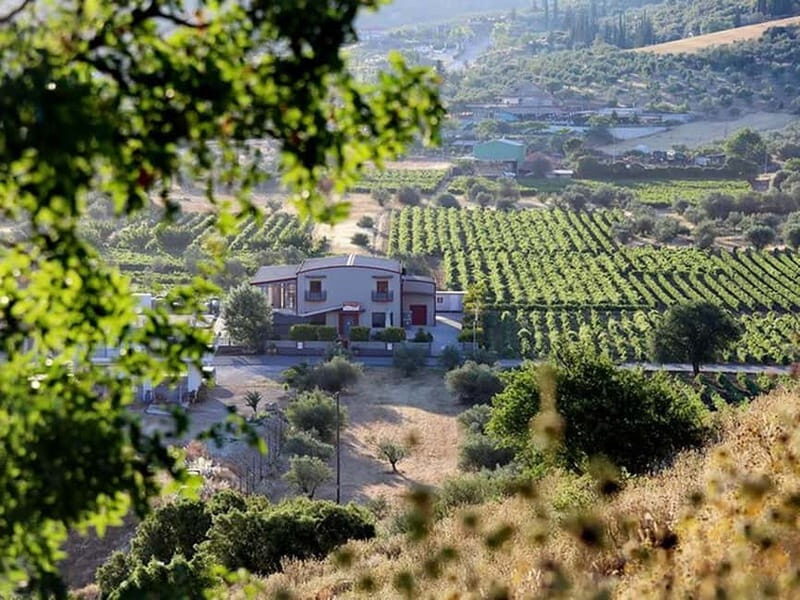 From Nafplio: Nemea, Wine Tasting Tour with Local Flavours - FAQs