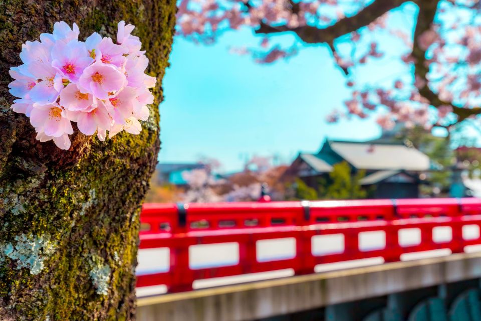 From Nagoya: Gujo, Hida Takayama, and Shirakawa-go Day Tour - Departure From Nagoya