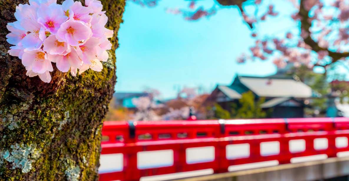 From Nagoya: Gujo, Hida Takayama, and Shirakawa-go Day Tour - Renowned Shirakawa-go