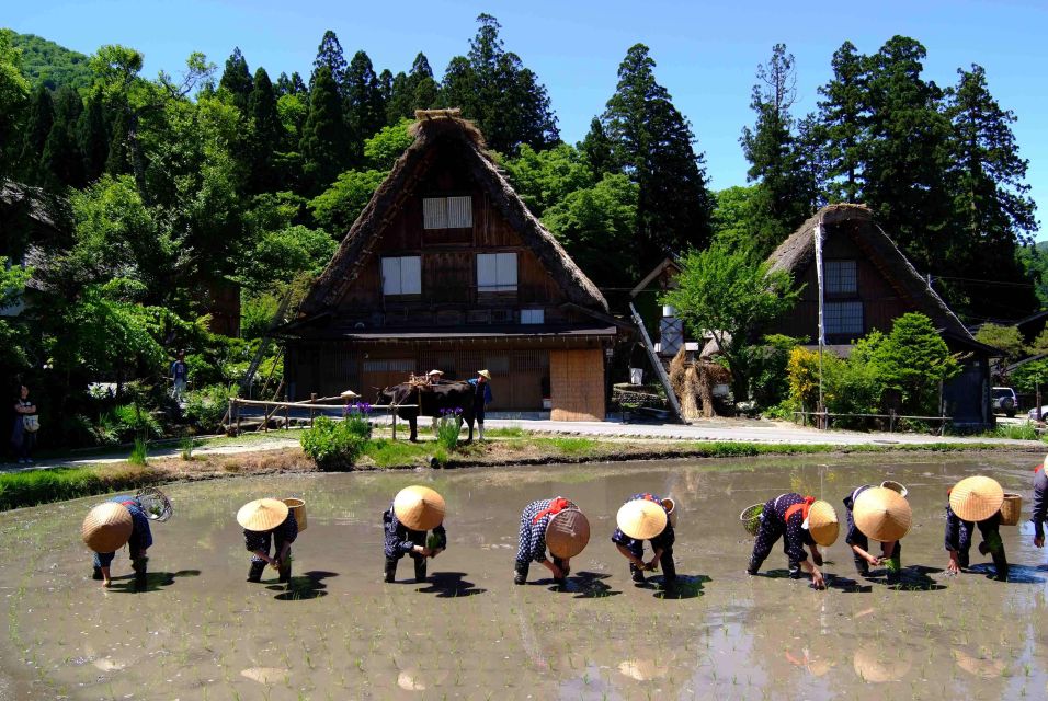From Nagoya: Shirakawa-Go Bus Ticket With Hida Beef Lunch - Convenient Transportation