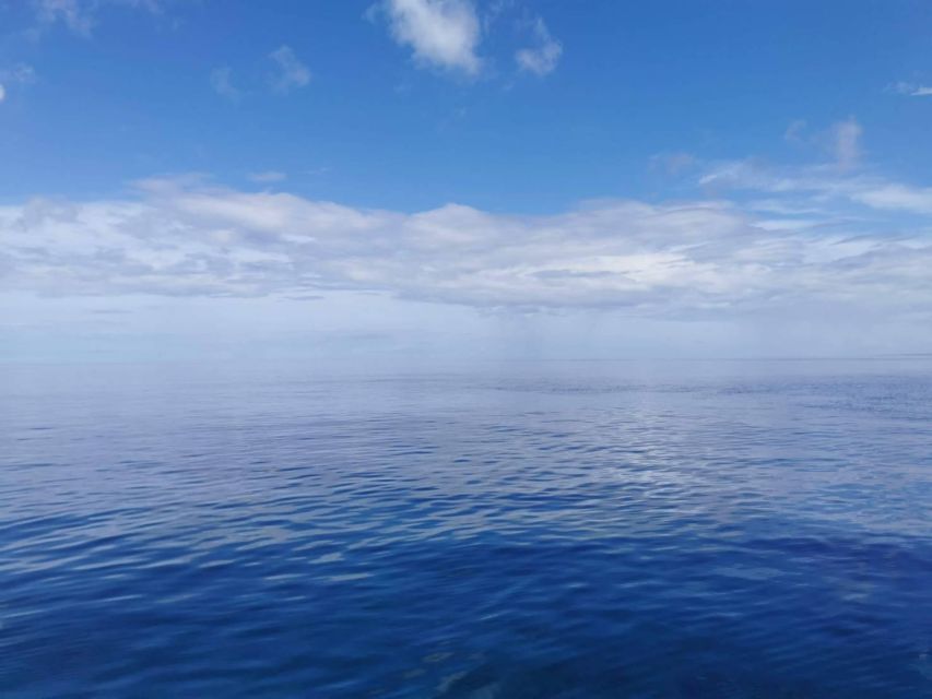 From Naha Scuba Diving Trip in Kerama (For Certified Divers) - Key Points