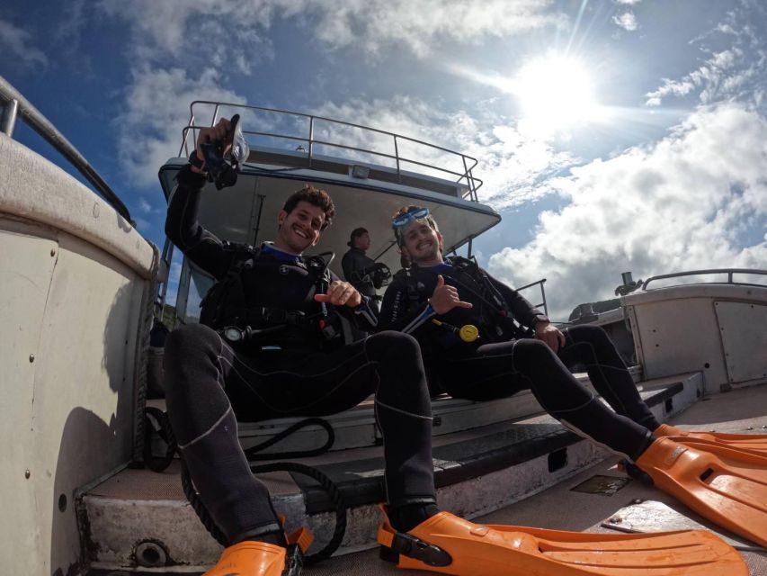 From Naha Scuba Diving Trip in Kerama (For Certified Divers) - Diving in Kerama National Park