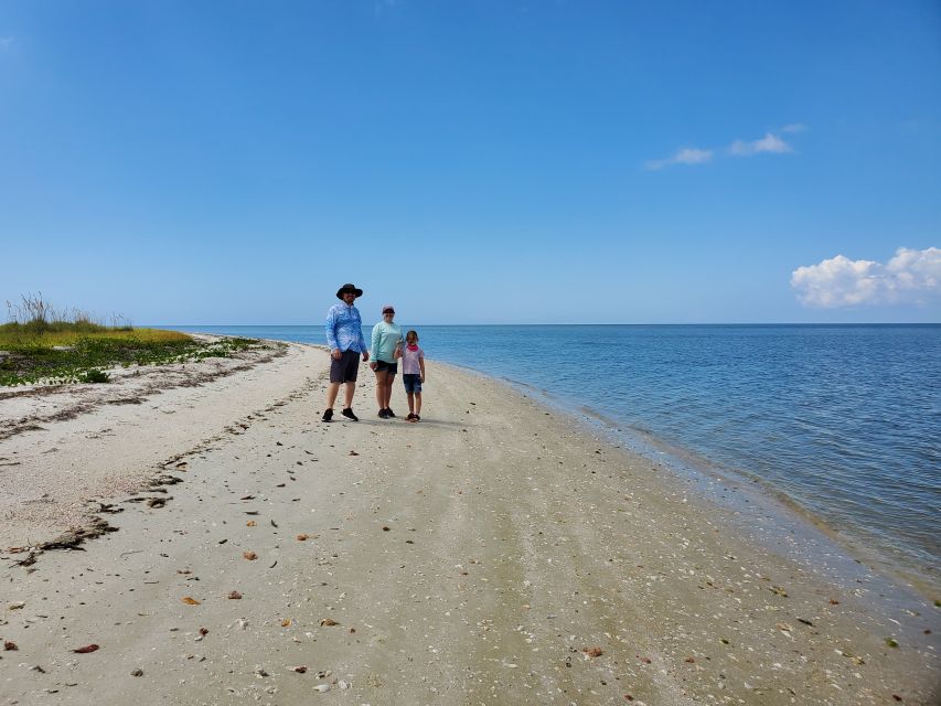 From Naples: 10,000 Islands Boat Trip and Everglades Walk - Inclusions and Logistics