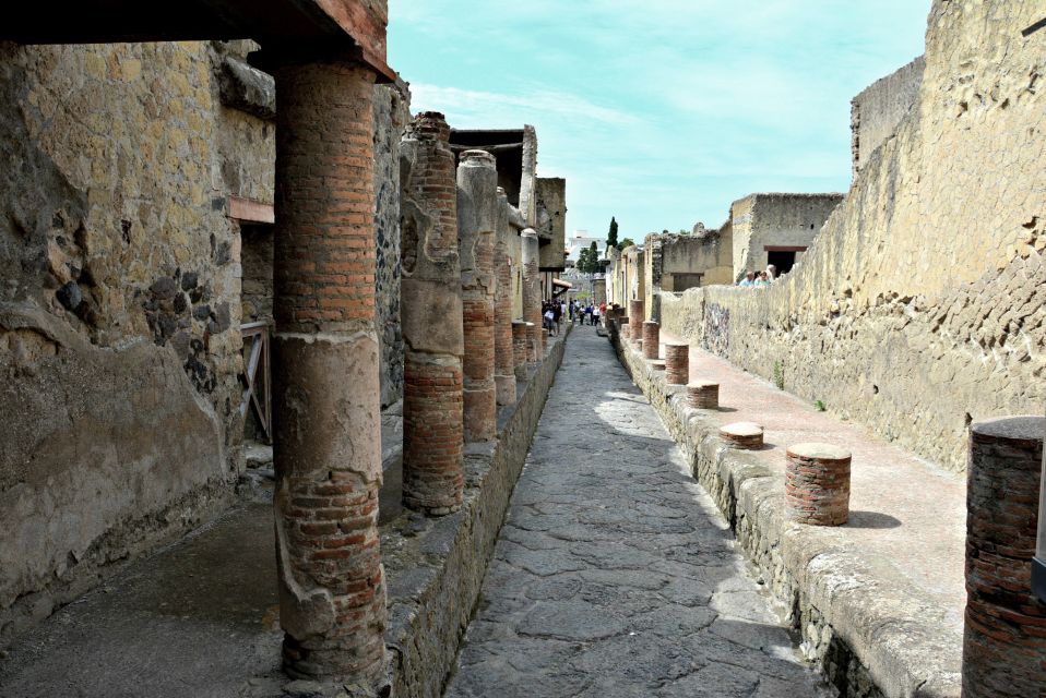 From Naples: 2-Hour Herculaneum Kid-Friendly Tour - Captivating Guided Walking Tour