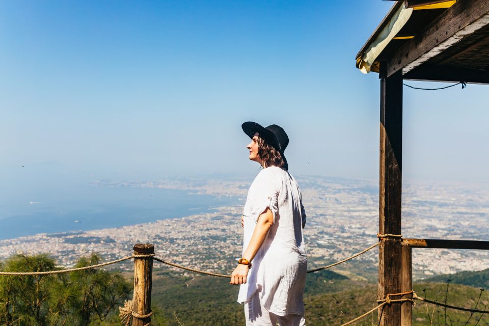 From Naples: All-Inclusive Mount Vesuvius Half-Day Tour - Experience Highlights