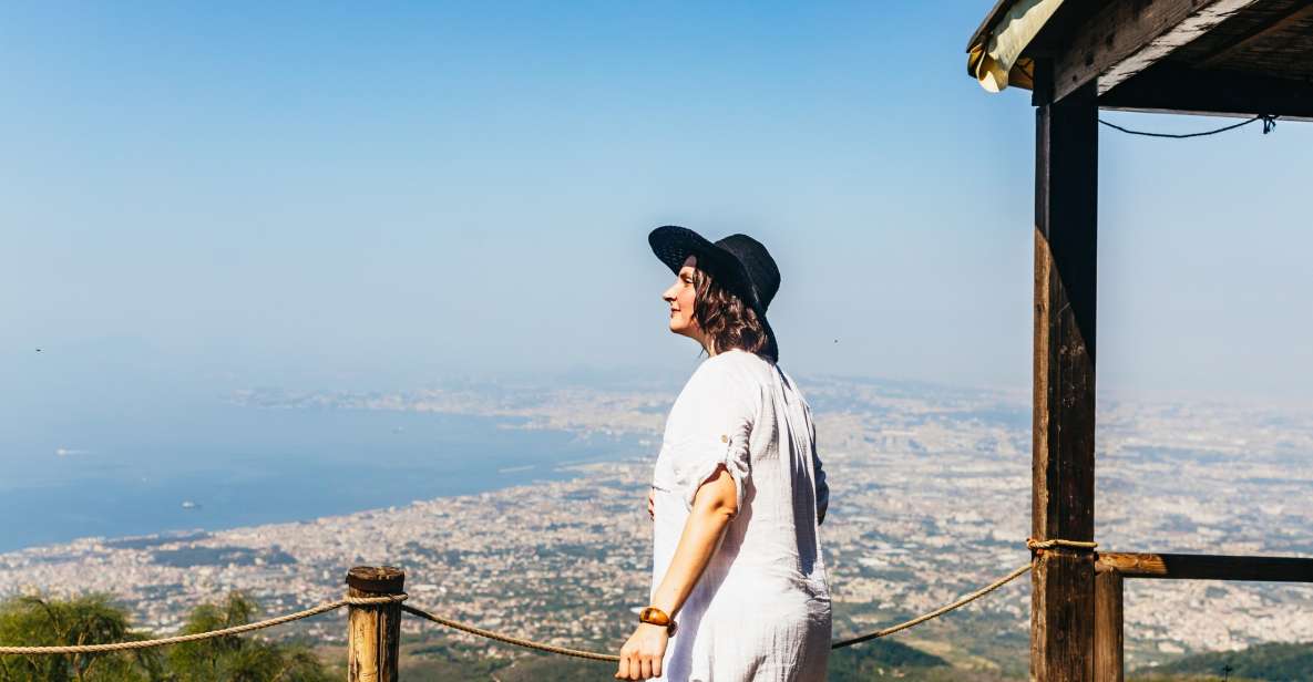 From Naples: All-Inclusive Mount Vesuvius Half-Day Tour - Itinerary and Logistics