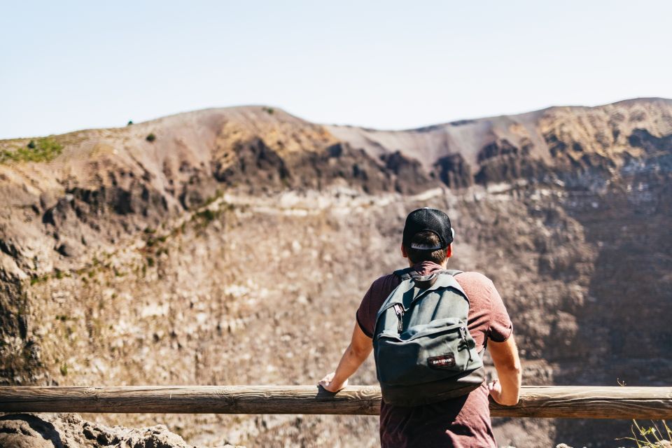 From Naples: All-Inclusive Mount Vesuvius Half-Day Tour - Included Services