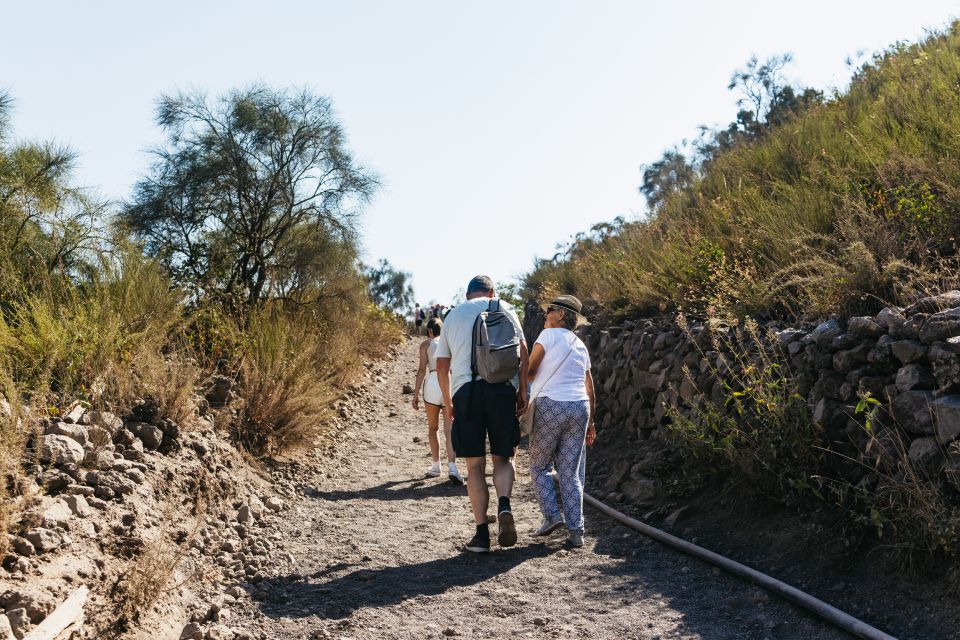 From Naples: All-Inclusive Mount Vesuvius Half-Day Tour - Important Information