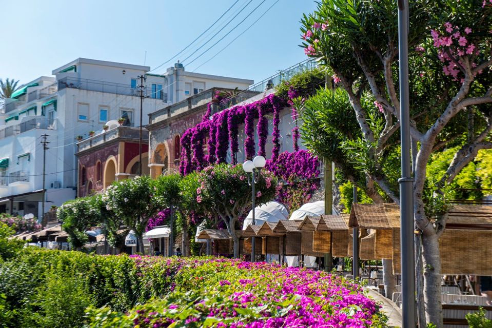 From Naples: Capri, Anacapri, and Blue Grotto Full-Day Trip - Duration and Inclusions/Exclusions