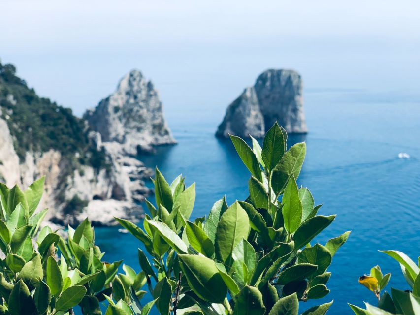 From Naples: Capri and Anacapri - Guided tour - Key Points