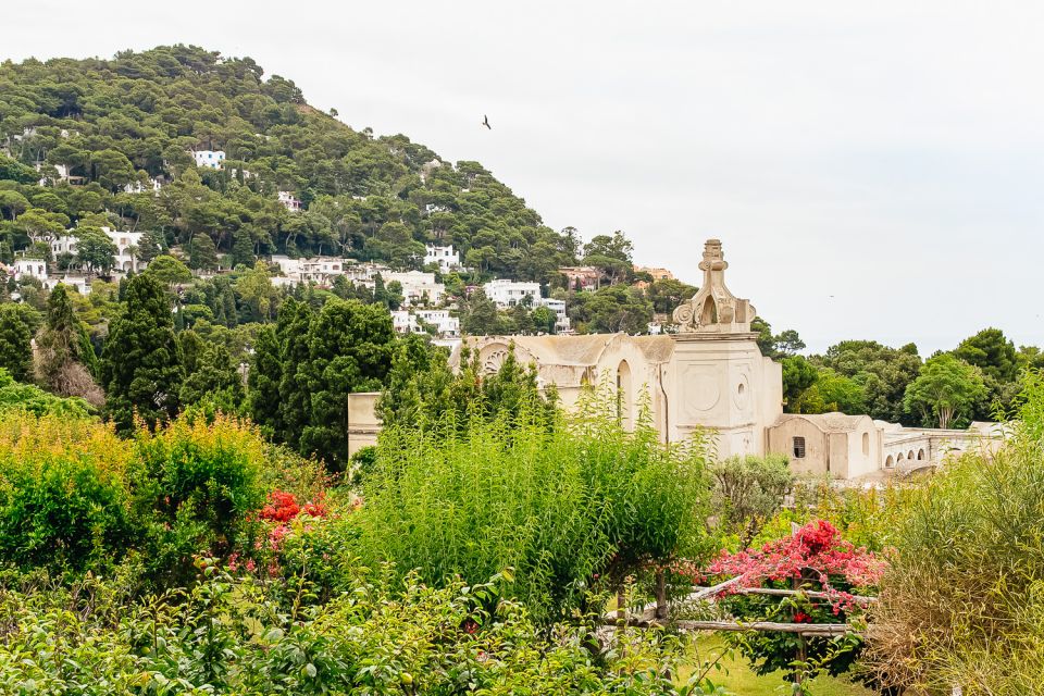 From Naples: Capri and Blue Grotto Day Tour - Price and Inclusions
