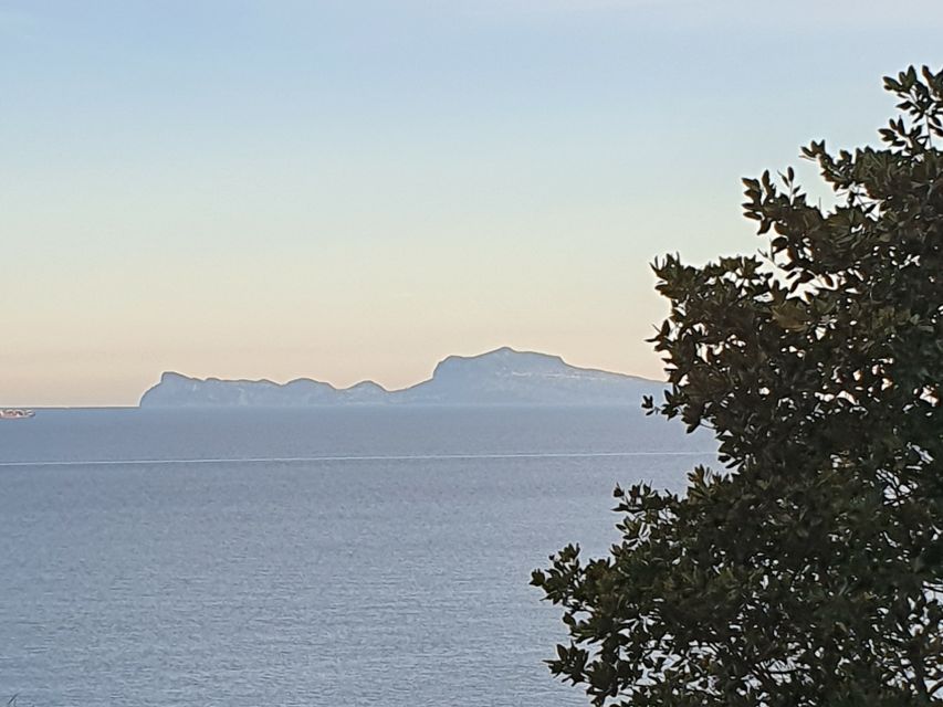 From Naples: Capri Day Trip With Lunch - Free Time in Anacapri