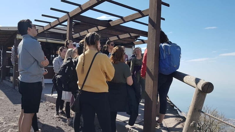 From Naples: Day Trip to Mount Vesuvius - What to Expect on the Vesuvius Day Trip  