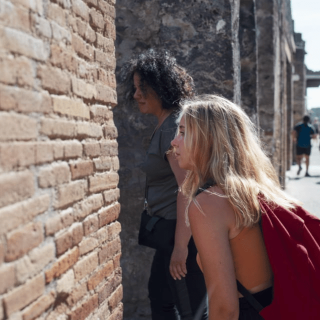 From Naples: Guided Walking Tour of Pompeii With Entrance Ticket and Train - Itinerary and Highlights