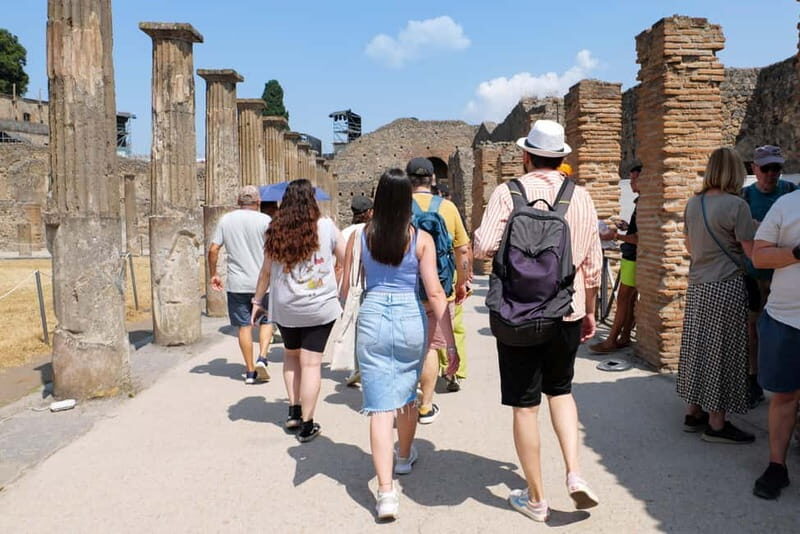 From Naples: Guided walking tour of Pompeii with entry ticket and train - The Sum Up