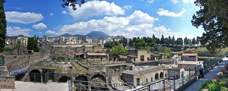 From Naples: Half-Day Herculaneum Tour With Lunch - Key Points
