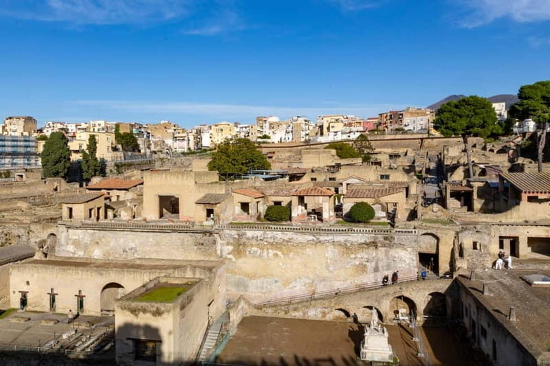 From Naples: Herculaneum Private tour with Tickets - Why This Tour Offers Great Value