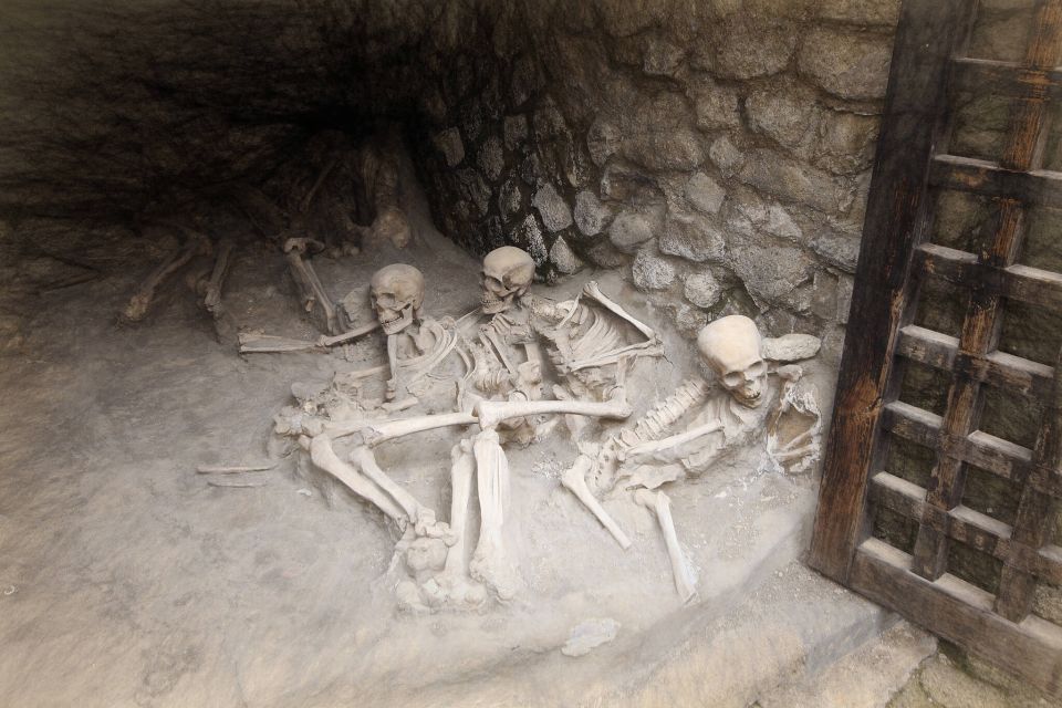 From Naples: Herculaneum Skip-the-Line Guided Tour - Ask Away